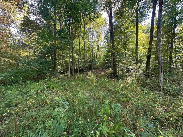 $720,000 | 0 Stipps Hill Road, Laurel, IN 47024