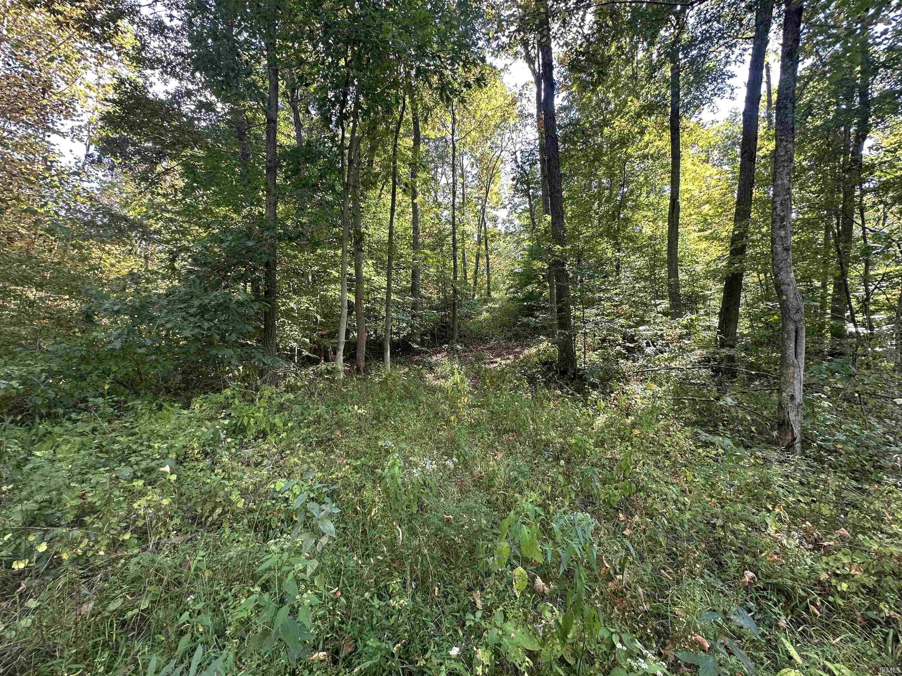 0 Stipps Hill Road Laurel, IN 47024 - Photo 25 of 35