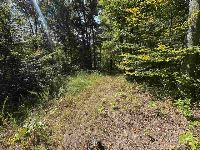 $720,000 | 0 Stipps Hill Road, Laurel, IN 47024