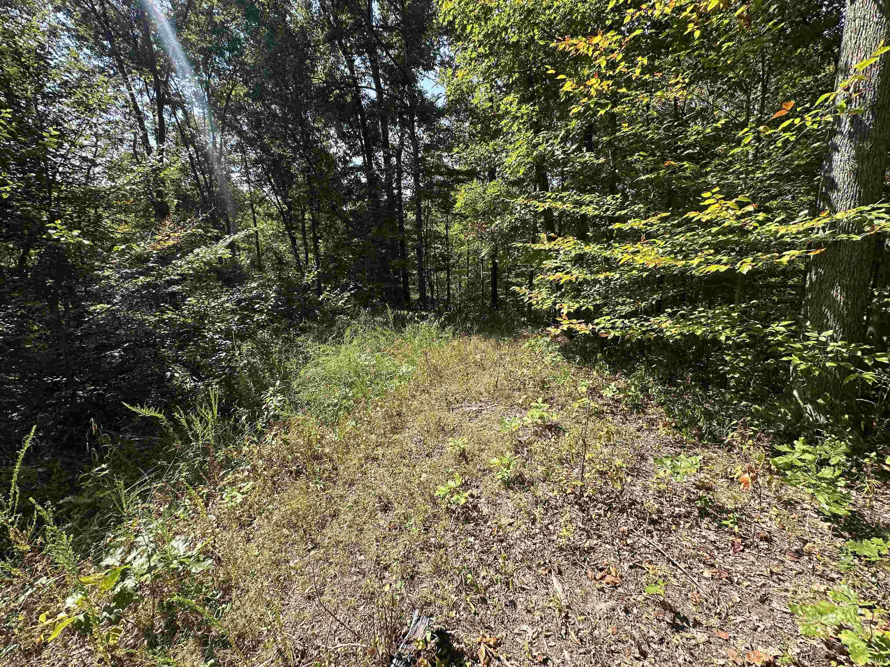 0 Stipps Hill Road Laurel, IN 47024 - Photo 26 of 35