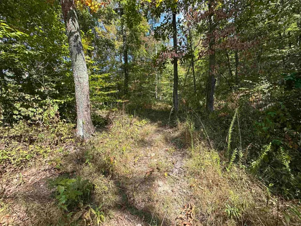 $720,000 | 0 Stipps Hill Road, Laurel, IN 47024