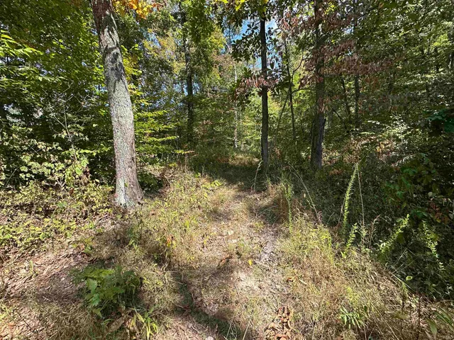 $720,000 | 0 Stipps Hill Road, Laurel, IN 47024