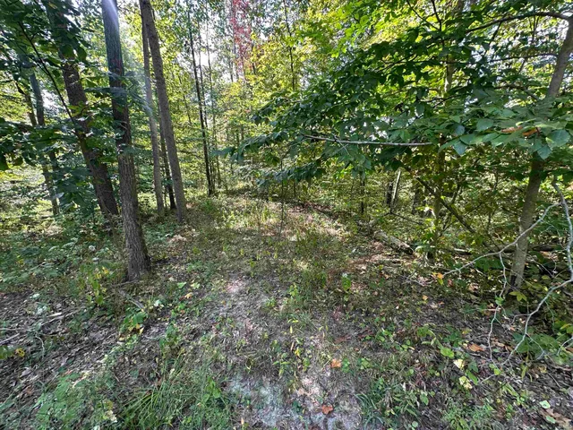 $720,000 | 0 Stipps Hill Road, Laurel, IN 47024