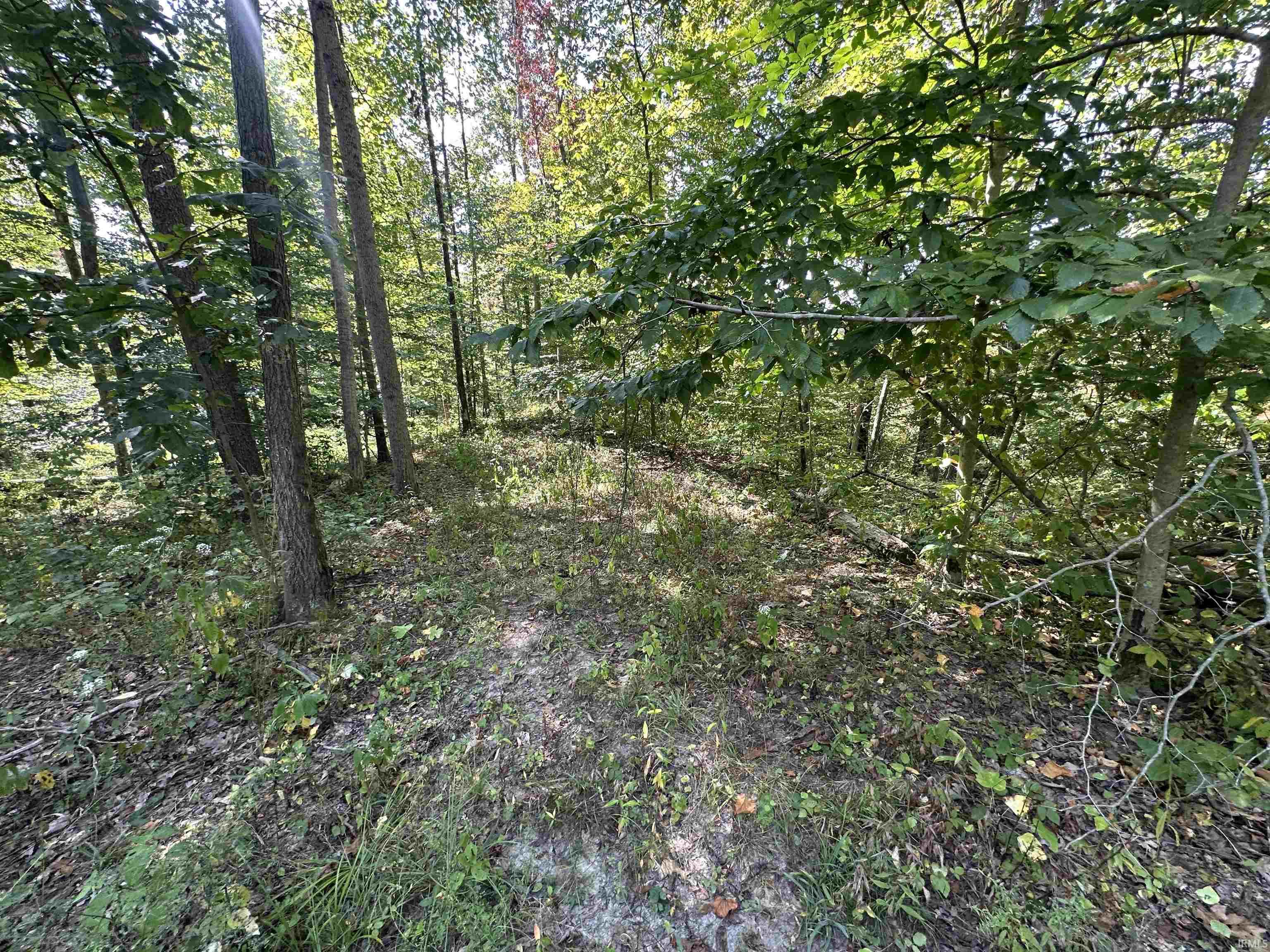 0 Stipps Hill Road Laurel, IN 47024 - Photo 28 of 35