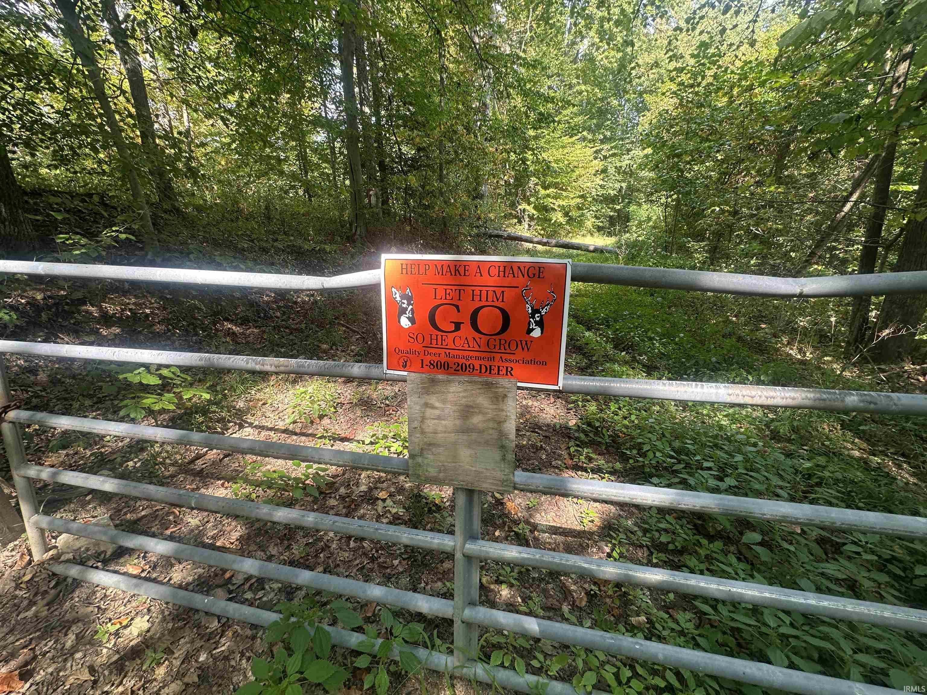 0 Stipps Hill Road Laurel, IN 47024 - Photo 29 of 35