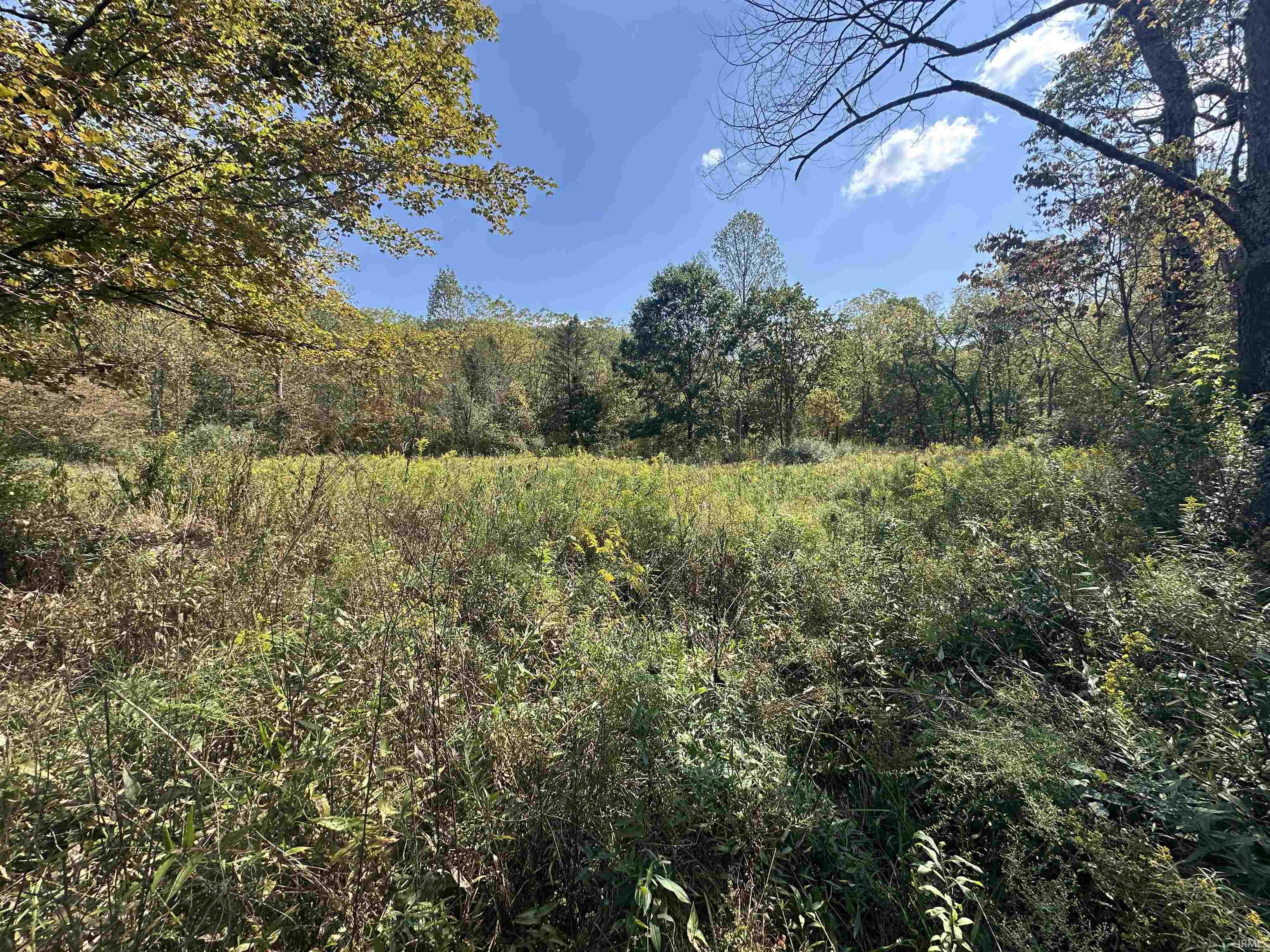 0 Stipps Hill Road Laurel, IN 47024 - Photo 5 of 35