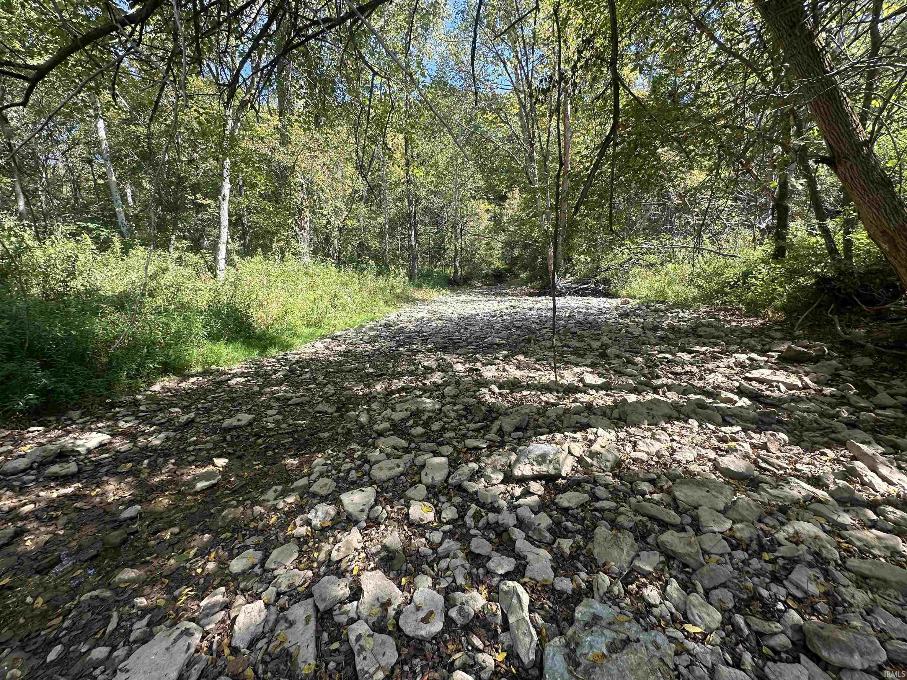 0 Stipps Hill Road Laurel, IN 47024 - Photo 6 of 35