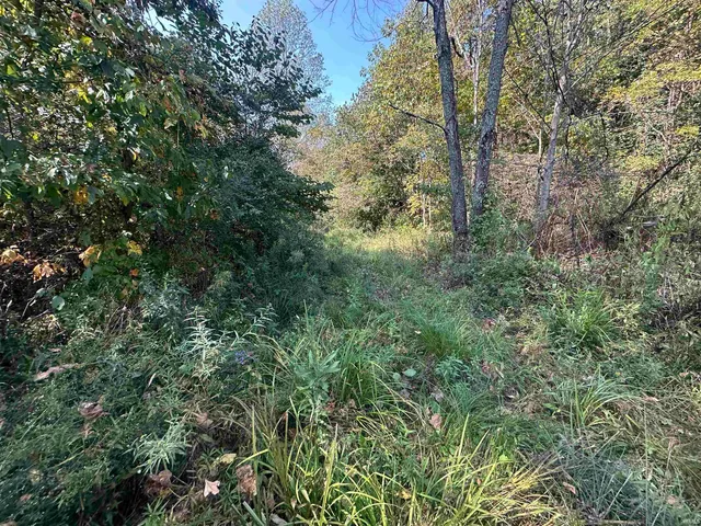 $720,000 | 0 Stipps Hill Road, Laurel, IN 47024