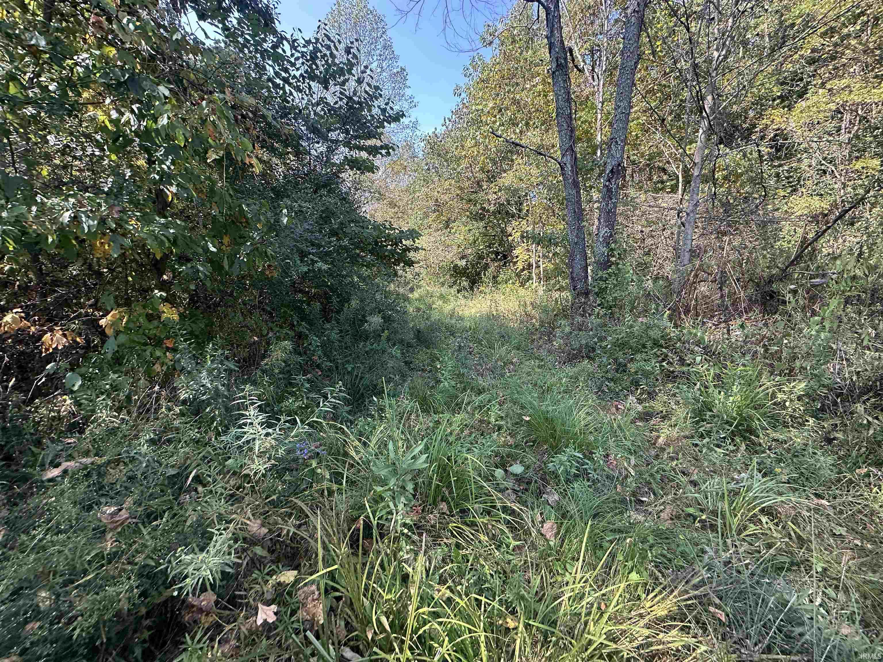 0 Stipps Hill Road Laurel, IN 47024 - Photo 7 of 35