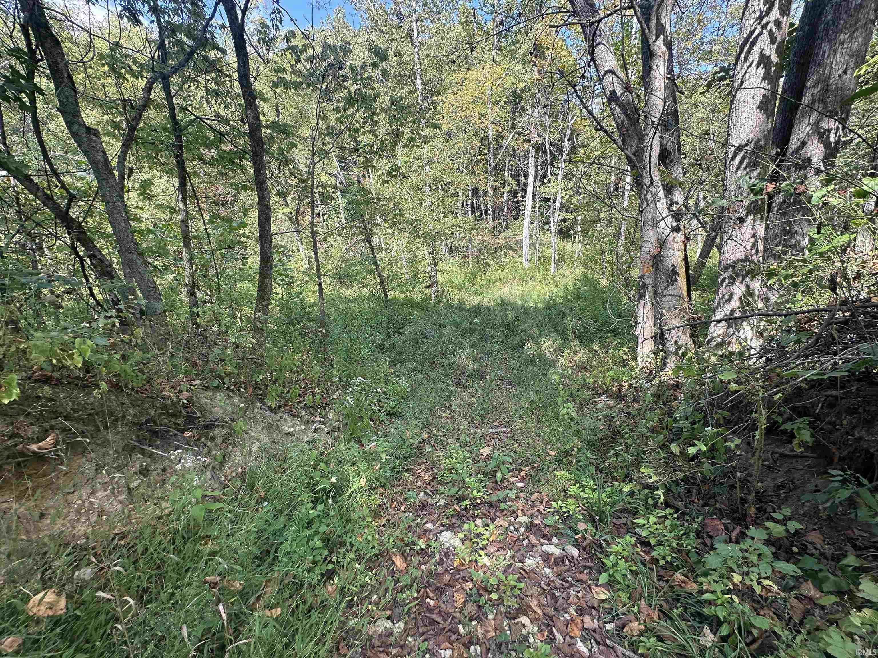 0 Stipps Hill Road Laurel, IN 47024 - Photo 8 of 35