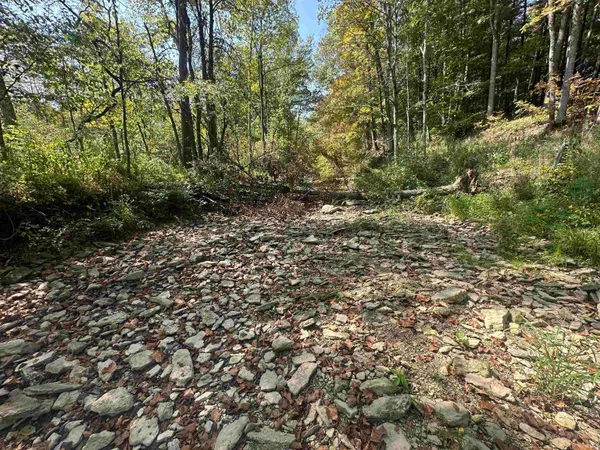 $720,000 | 0 Stipps Hill Road, Laurel, IN 47024