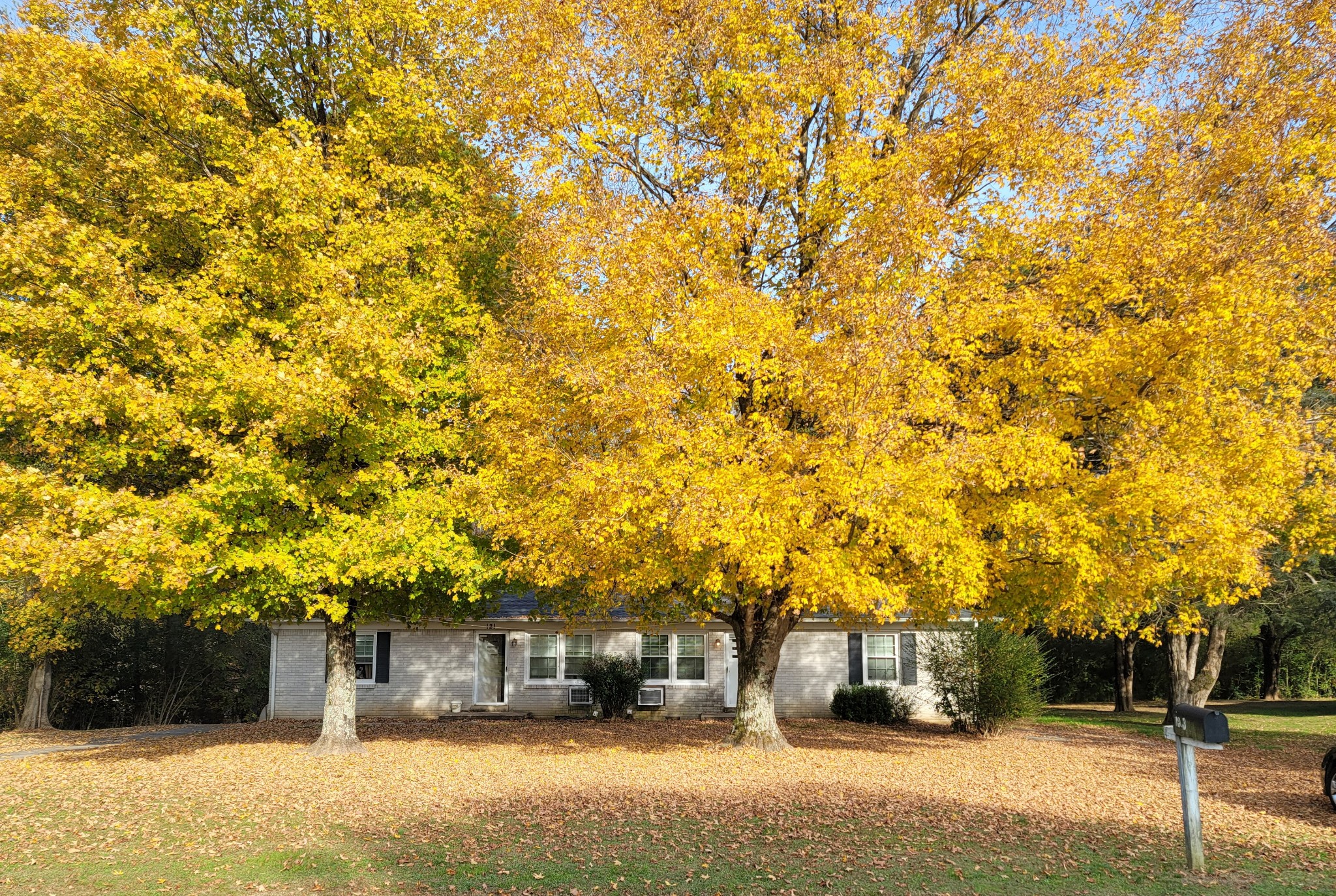 121 Glenn Springs Road Lawrenceburg, TN 38464 - Photo 2 of 17 a front view of a building with trees
