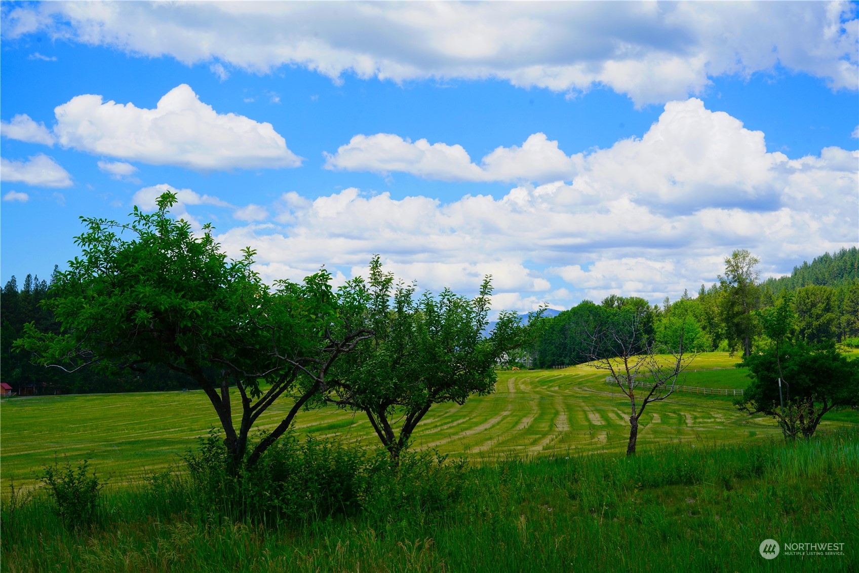 3435 Teanaway Road Cle Elum, WA 98922 - Photo 8 of 33 a view of an outdoor space and yard