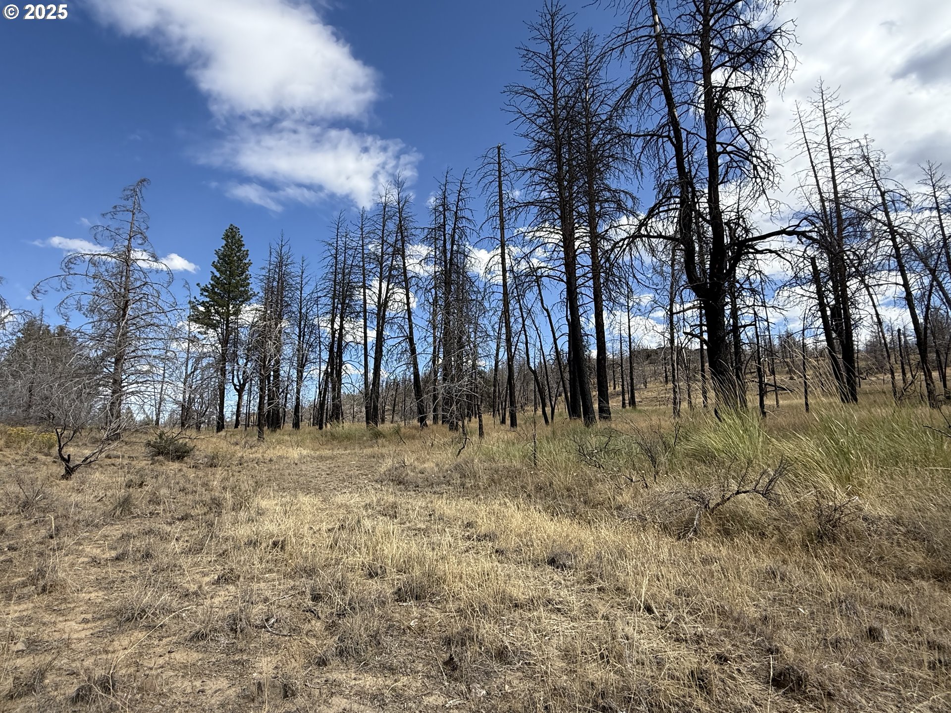 0 Godowa Springs Road Beatty, OR 97621 - Photo 13 of 33 Gallery Image 13