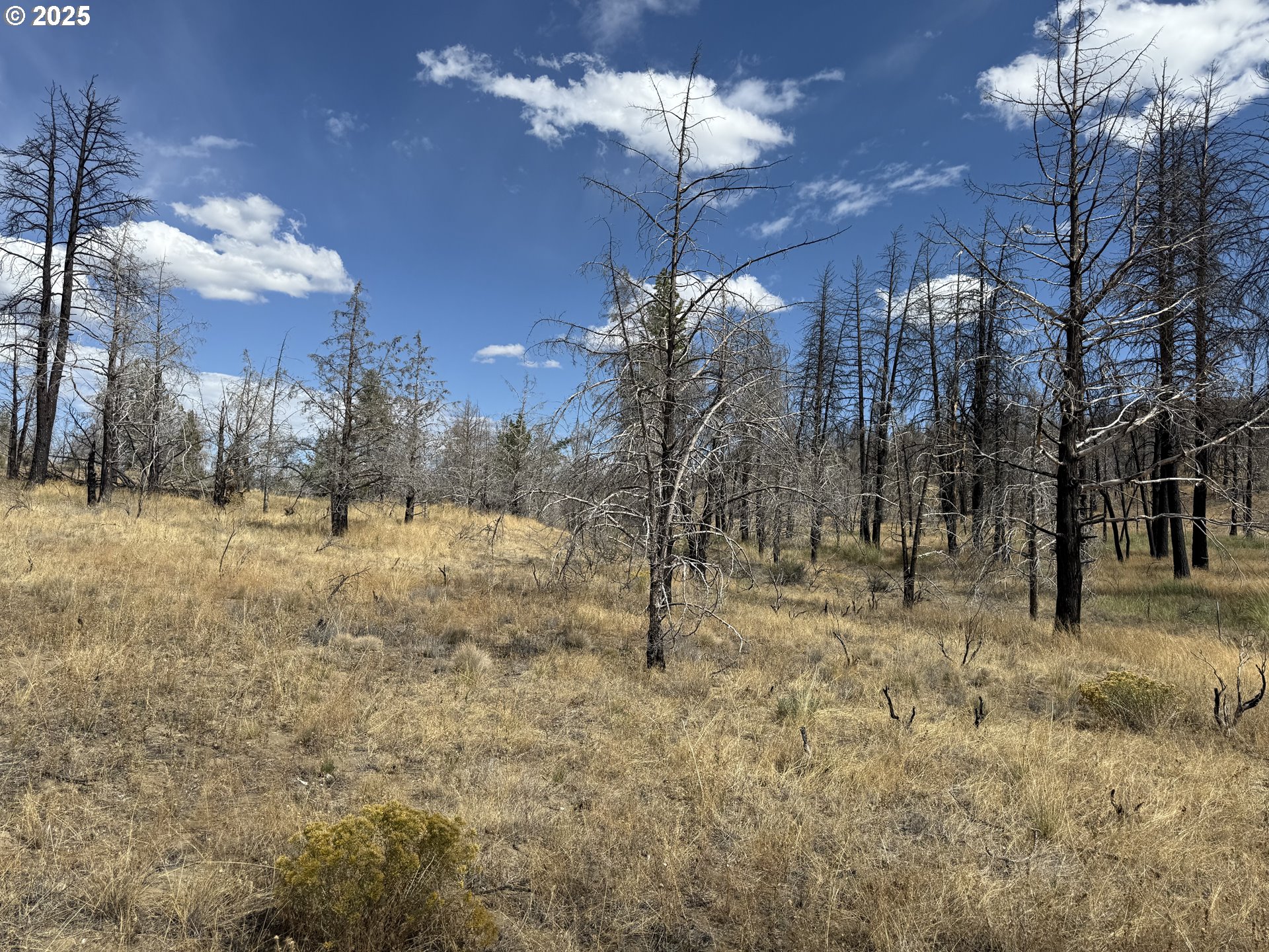 0 Godowa Springs Road Beatty, OR 97621 - Photo 15 of 33 Gallery Image 15