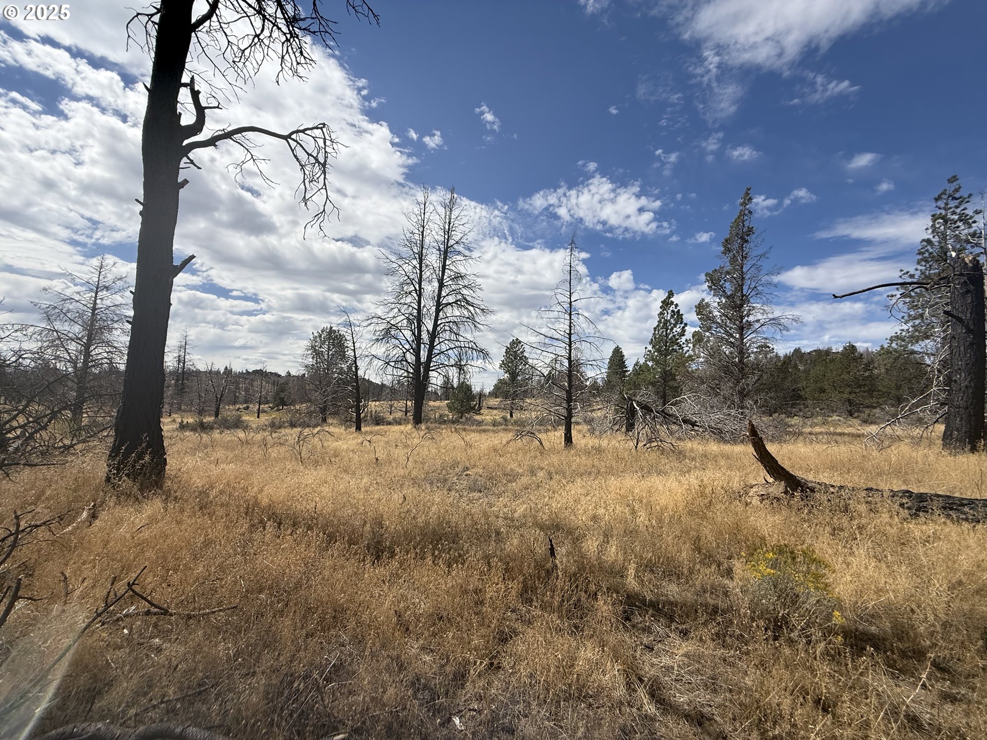 0 Godowa Springs Road Beatty, OR 97621 - Photo 19 of 33 Gallery Image 19