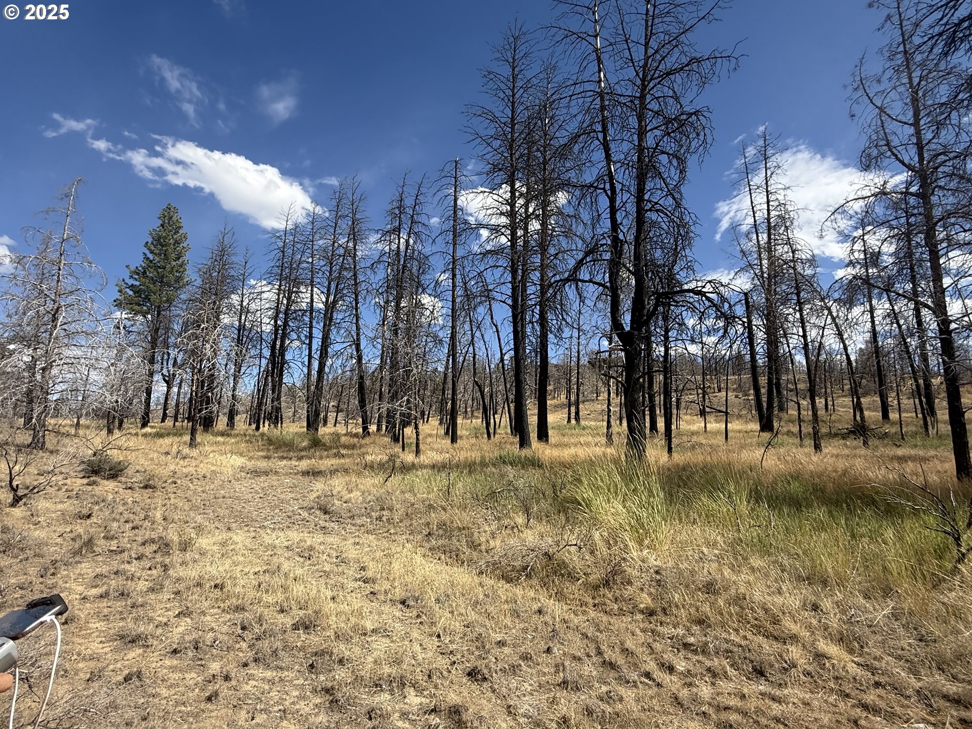 0 Godowa Springs Road Beatty, OR 97621 - Photo 21 of 33 Gallery Image 21