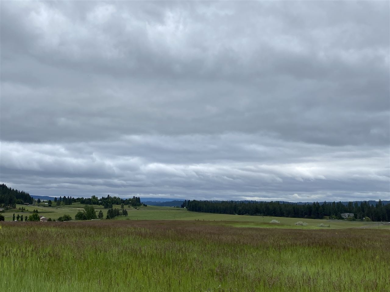17-xxx North Hardesty Road Colbert, WA 99005 - Photo 1 of 2