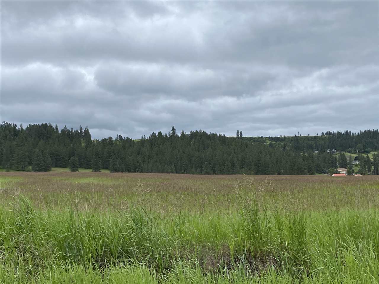 17-xxx North Hardesty Road Colbert, WA 99005 - Photo 2 of 2