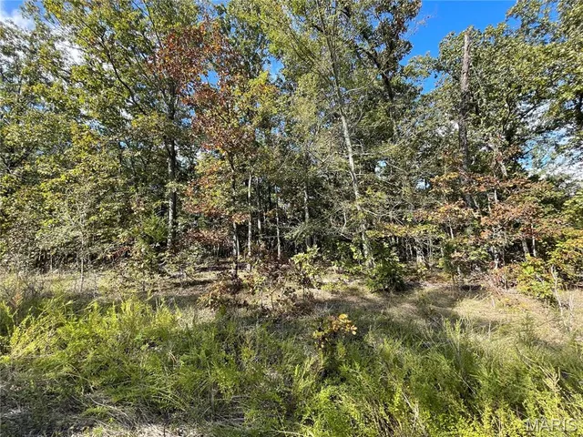 $29,900 | 9 Woodland Heights West, Poplar Bluff, MO 63901