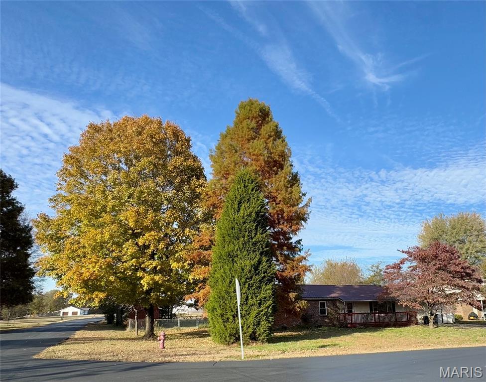 100 Summit Street Matthews, MO 63867 - Photo 4 of 19