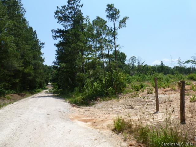 Lot 4 Kirk Air Base Road, Unit 4 Lancaster, SC 29720 - Photo 1 of 13 Gallery Image 1