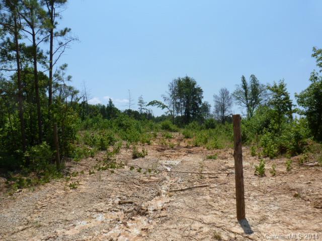 Lot 4 Kirk Air Base Road, Unit 4 Lancaster, SC 29720 - Photo 3 of 13 Gallery Image 3