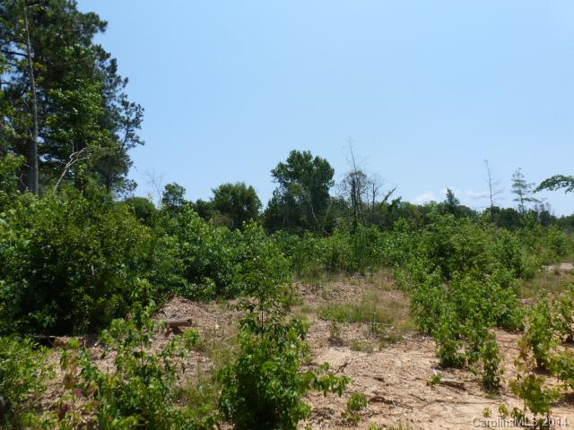 Lot 4 Kirk Air Base Road, Unit 4 Lancaster, SC 29720 - Photo 4 of 13 Gallery Image 4