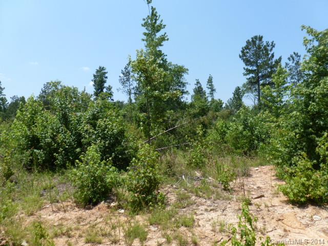 Lot 4 Kirk Air Base Road, Unit 4 Lancaster, SC 29720 - Photo 5 of 13 Gallery Image 5
