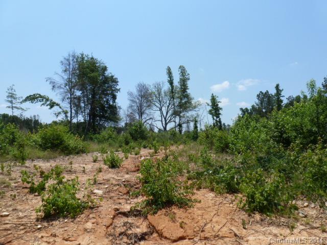 Lot 4 Kirk Air Base Road, Unit 4 Lancaster, SC 29720 - Photo 6 of 13 Gallery Image 6