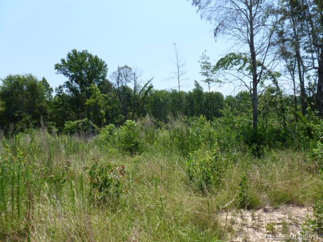 Lot 4 Kirk Air Base Road, Unit 4 Lancaster, SC 29720 - Photo 8 of 13 Gallery Image 8