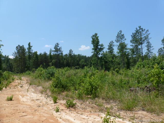 Lot 4 Kirk Air Base Road, Unit 4 Lancaster, SC 29720 - Photo 9 of 13 Gallery Image 9