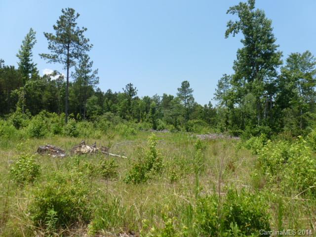 Lot 4 Kirk Air Base Road, Unit 4 Lancaster, SC 29720 - Photo 10 of 13 Gallery Image 10