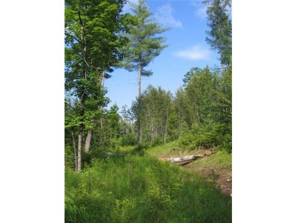 Lot #2 Brook Road East Corinth, VT 05040 - Photo 1 of 1