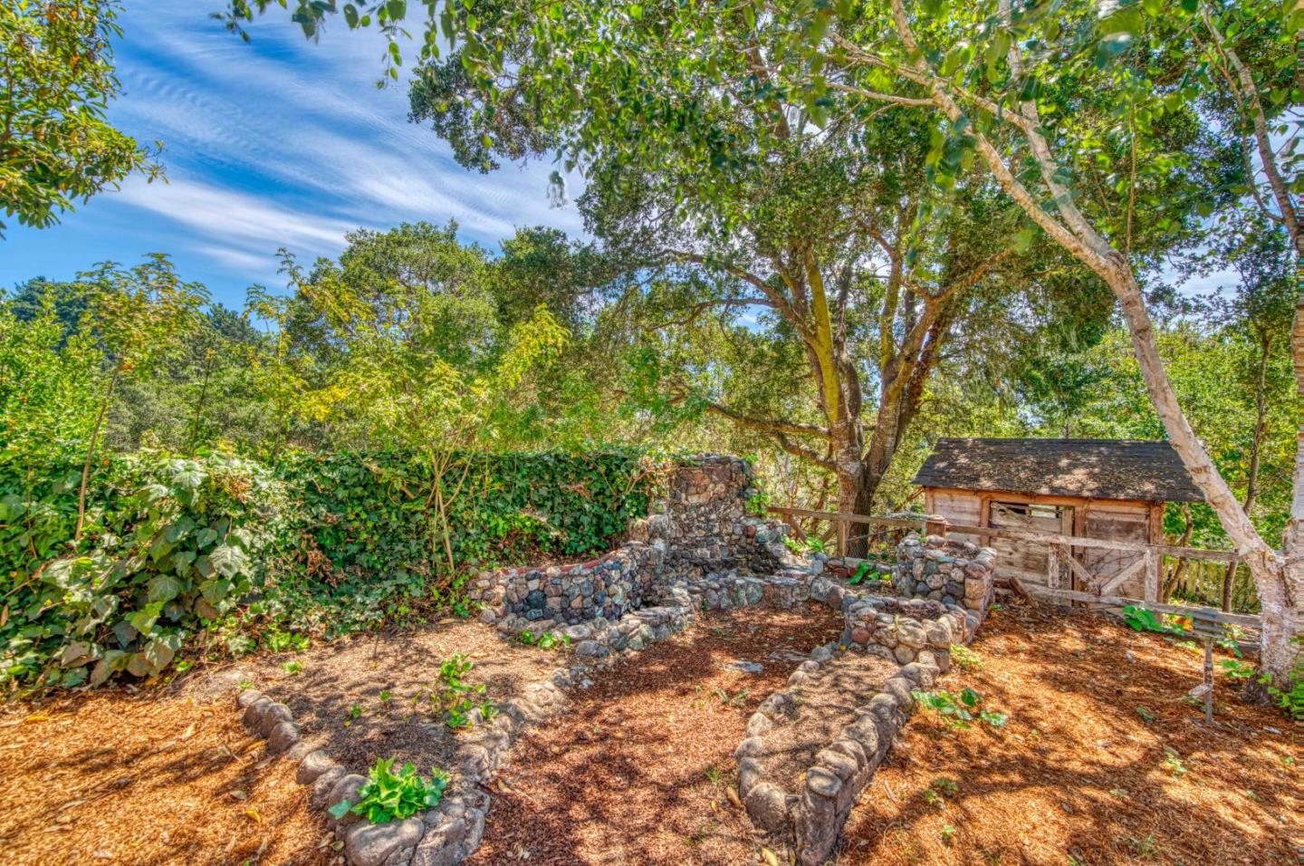 504 Cuesta Drive Aptos, CA 95003 - Photo 53 of 76 a backyard of a house with lots of green space
