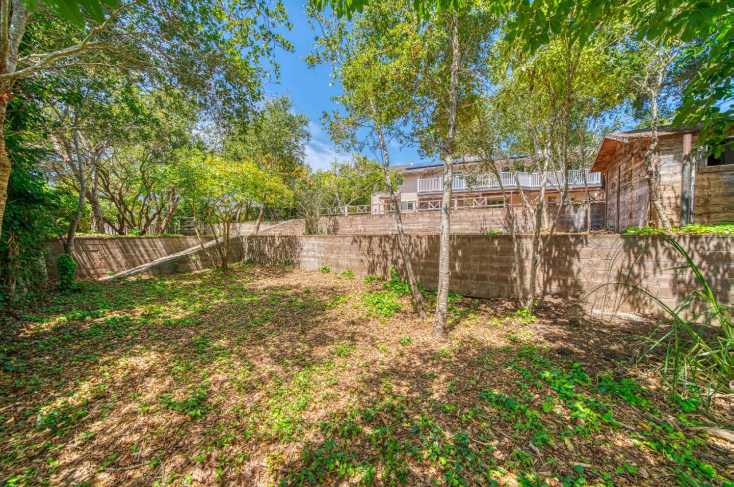 504 Cuesta Drive Aptos, CA 95003 - Photo 62 of 76 a garden view with tall trees