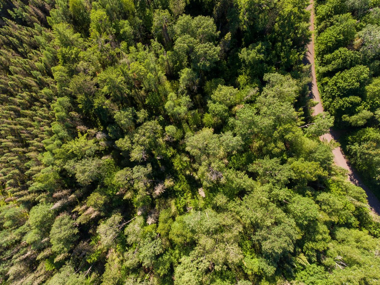 Lot 9 Moonshine Valley Road Presque Isle, WI 54557 - Photo 19 of 19 Gallery Image 19