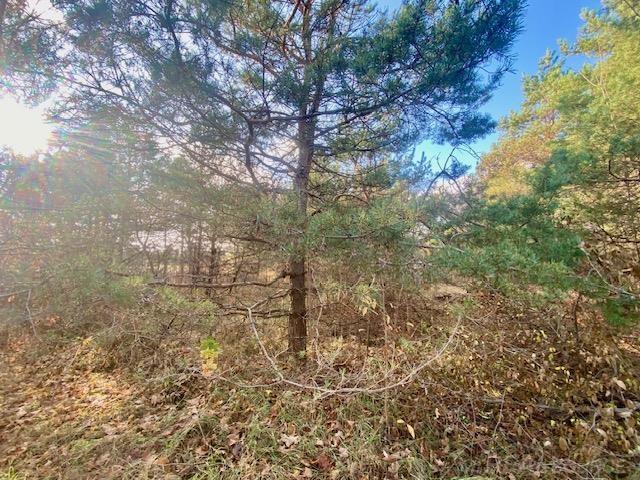 9976 Darragh Road Mancelona, MI 49659 - Photo 12 of 42 Gallery Image 12