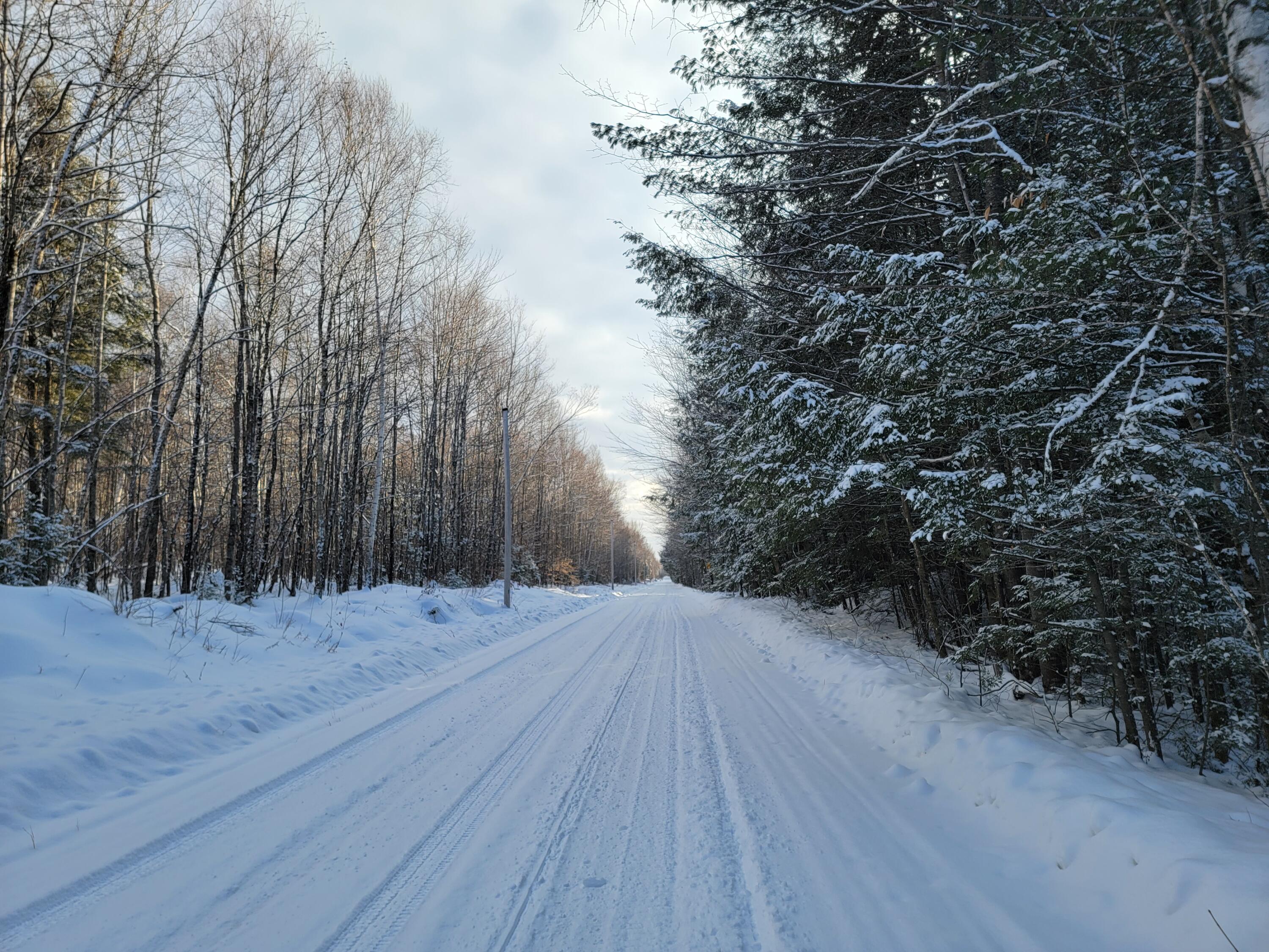 0 Railroadbed Rd Lake View Milo, ME 04463 - Photo 68 of 68 20220125_144356