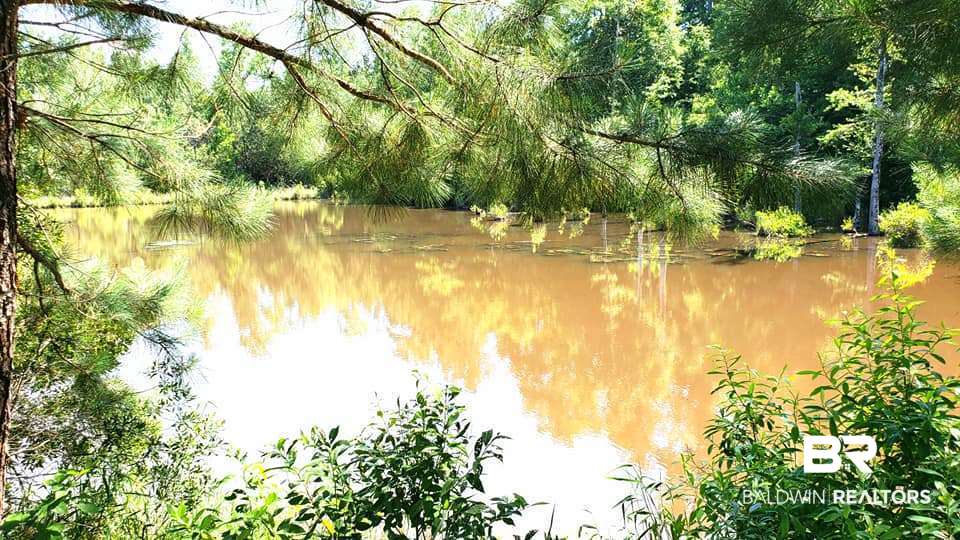 0 Bayou Road Bay Minette, AL 36507 - Photo 1 of 3