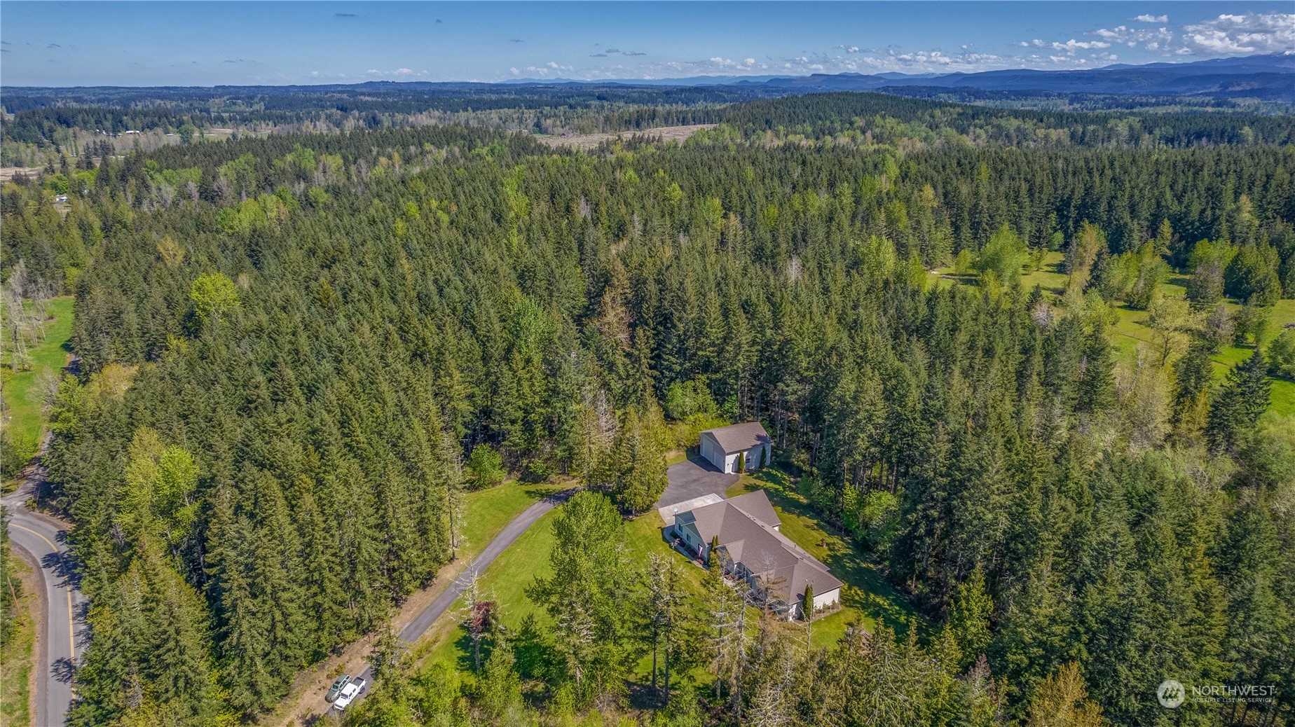 6605 Stringtown Road East Eatonville, WA 98328 - Photo 34 of 40 a view of a lush green forest with lots of trees