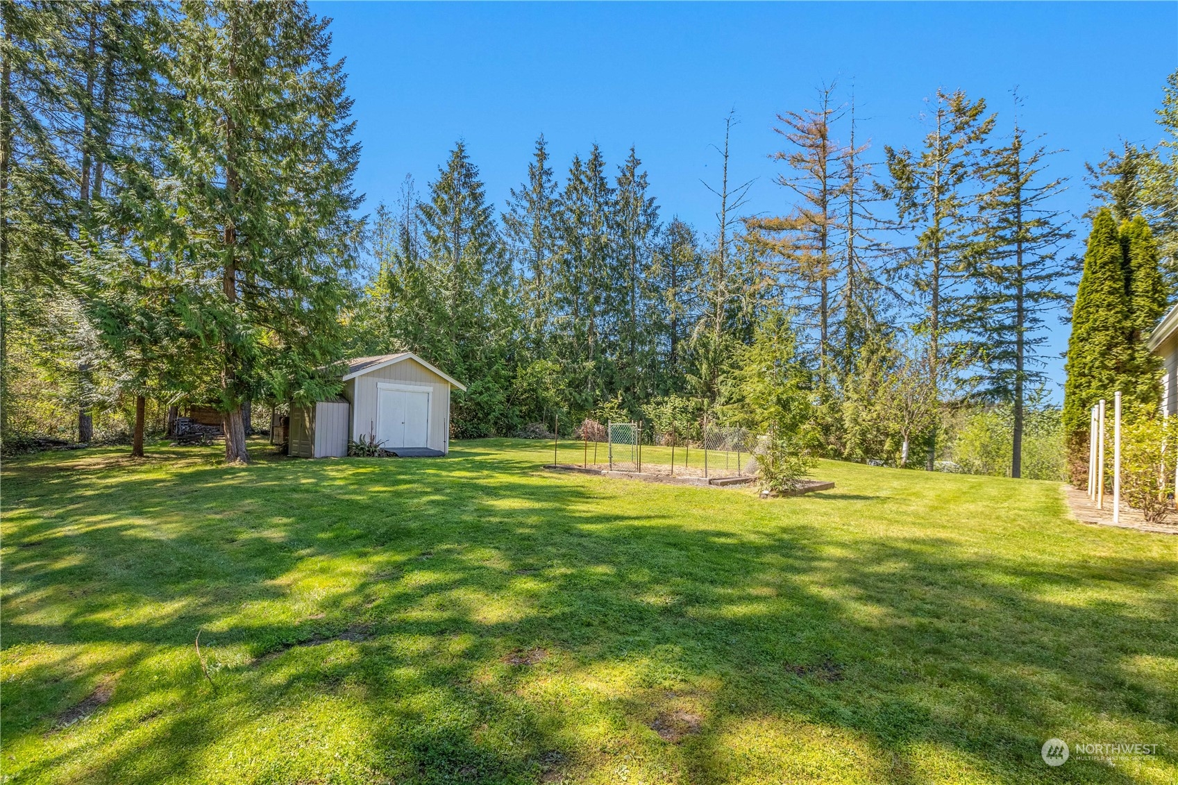 6605 Stringtown Road East Eatonville, WA 98328 - Photo 37 of 40 a view of a trees in a yard with large trees