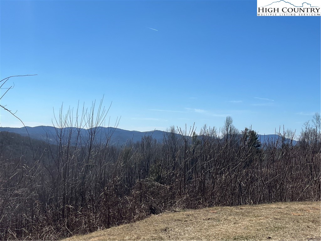 Linhigh Drive Newland, NC 28657 - Photo 11 of 16 a view of a backyard