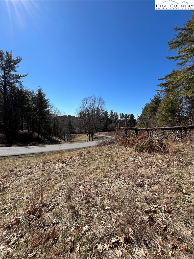 Linhigh Drive Newland, NC 28657 - Photo 12 of 16