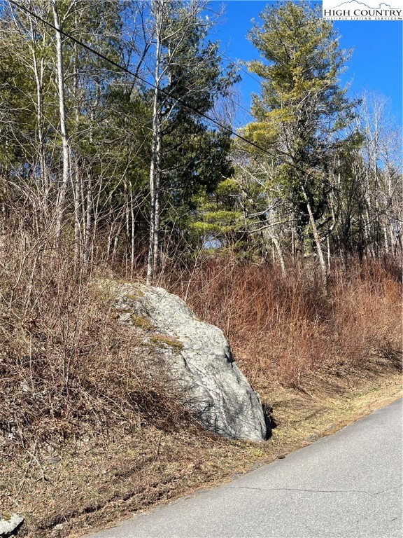 Linhigh Drive Newland, NC 28657 - Photo 14 of 16 a view of a yard with plants and trees