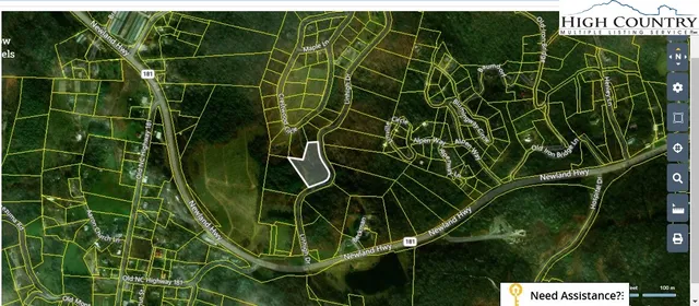 a close up of a plant in a garden