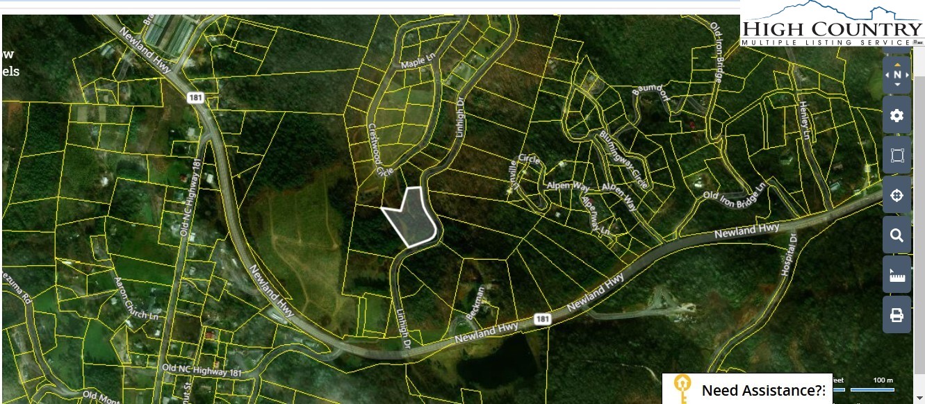 Linhigh Drive Newland, NC 28657 - Photo 3 of 16 a close up of a plant in a garden