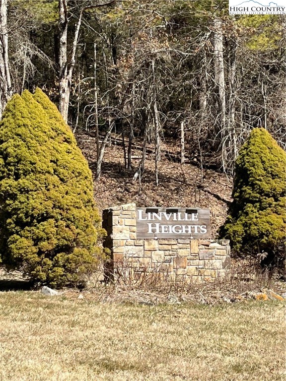 Linhigh Drive Newland, NC 28657 - Photo 4 of 16 a view of ocean view