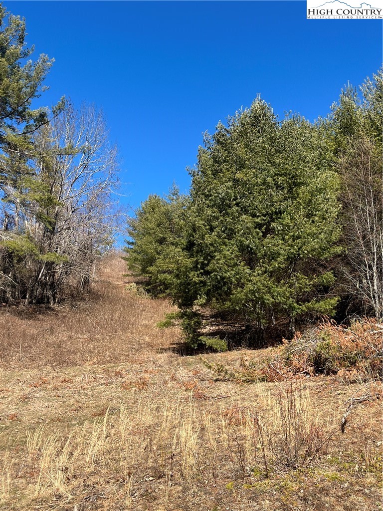 Linhigh Drive Newland, NC 28657 - Photo 7 of 16 a view of outdoor space and yard