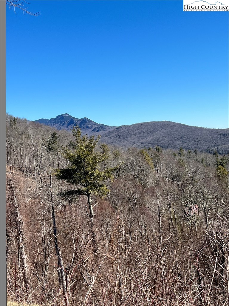 Linhigh Drive Newland, NC 28657 - Photo 10 of 16 a view of a mountain